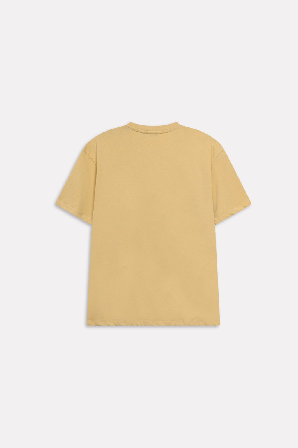Additional view of the beige regular fit crew neck t-shirt, by SOLA Pakistan.